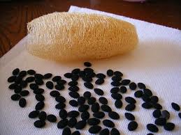clean loofah and black seeds